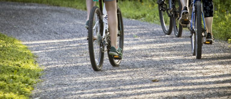 LVRT Updates from VTRANS